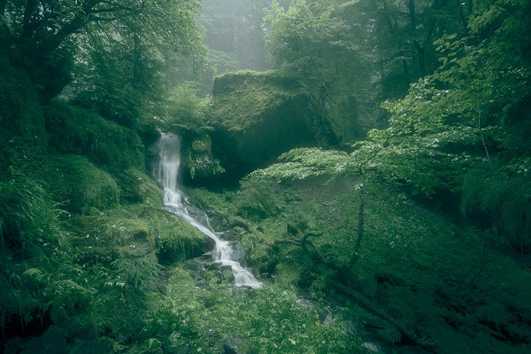 Fontaine de jouvence